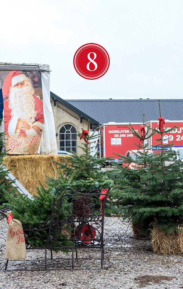 Amalie loves Denmark Weihnachtsmarkt beim Gavnø Schloss in Dänemark