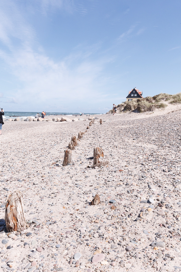 travel_gammel_skagen_dae-nemark4